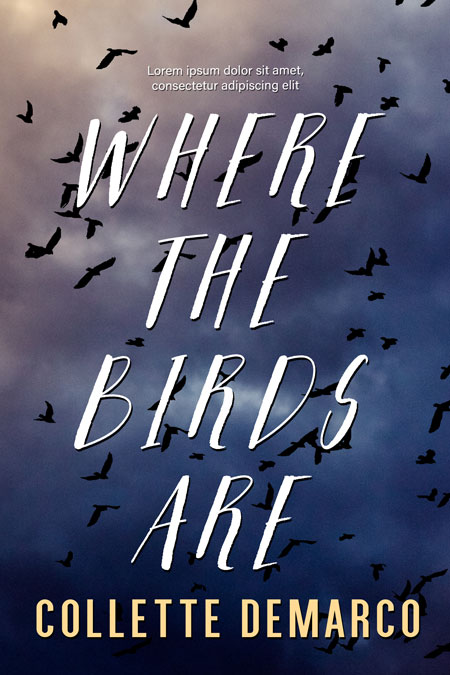 Where the Birds Are