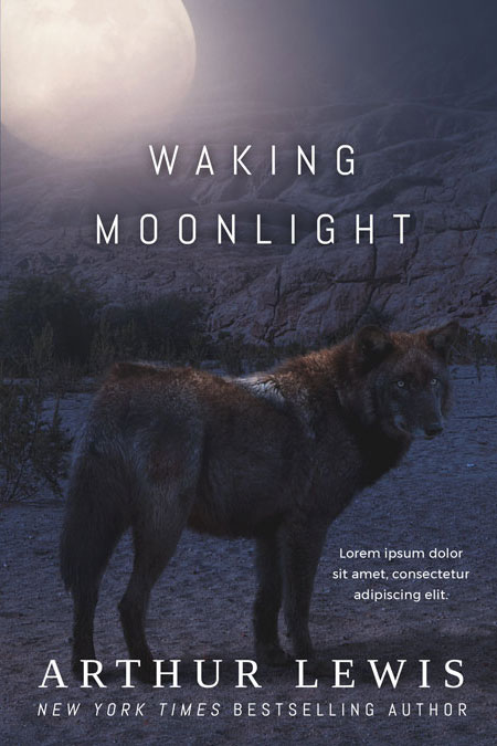 Waking Moonlight