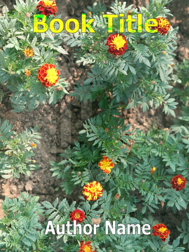 Riya Sharma | 26368688