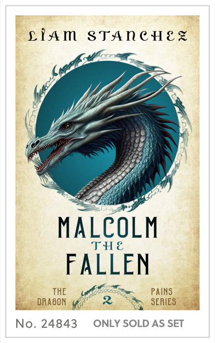 Premade cover 24843