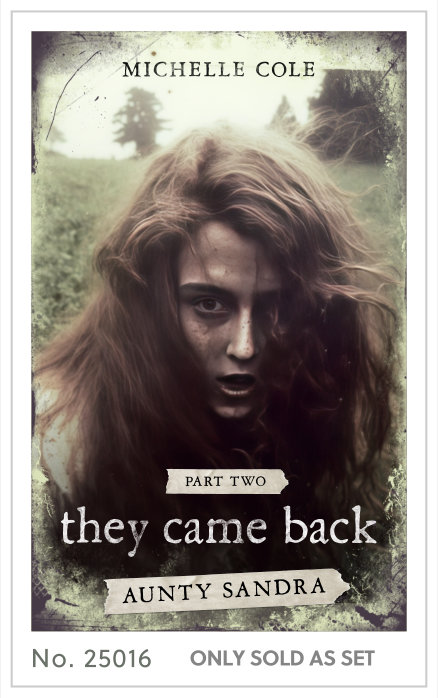 Premade cover 25016