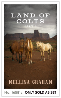 Premade cover 16581c