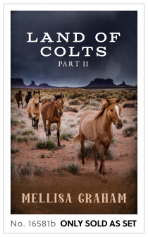 Premade cover 16581b