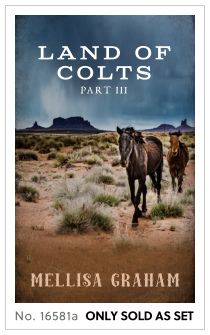 Premade cover 16581a