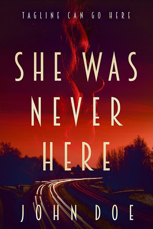 She Was Never Here