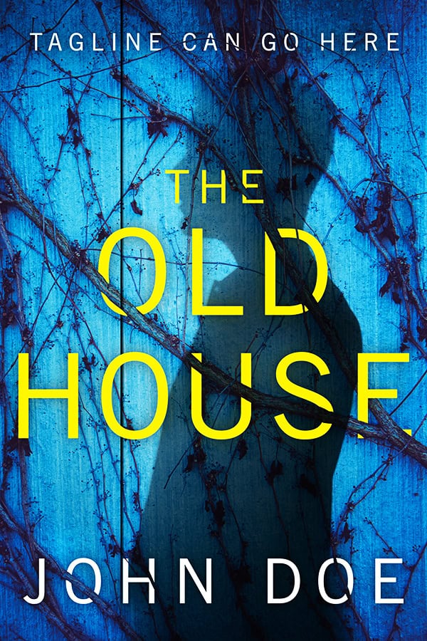 The Old House