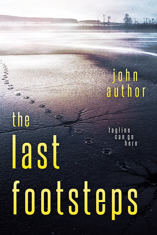 The Last Footsteps