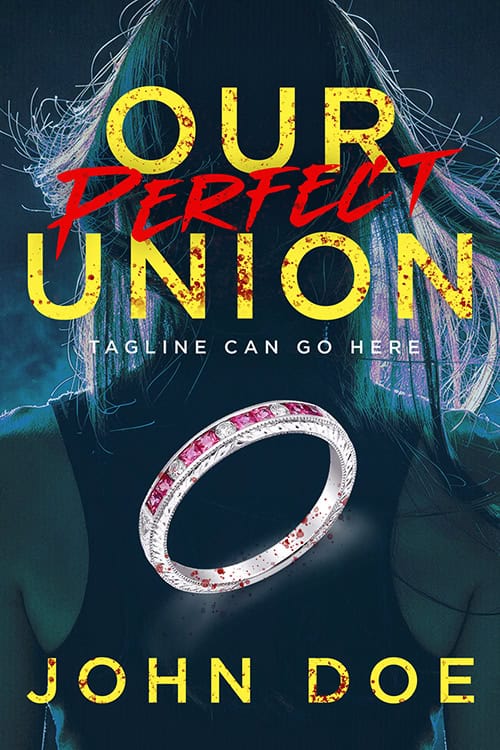 Our Perfect Union