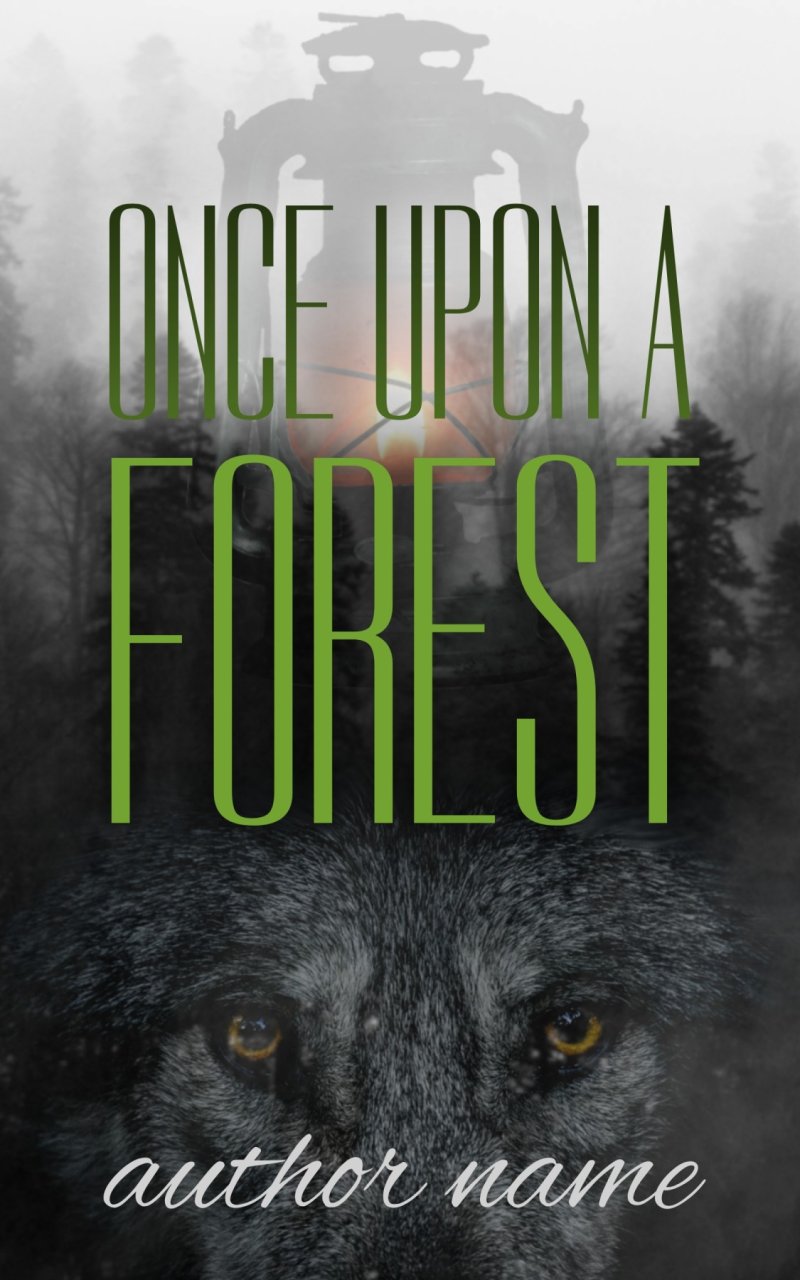 Once Upon a Forest