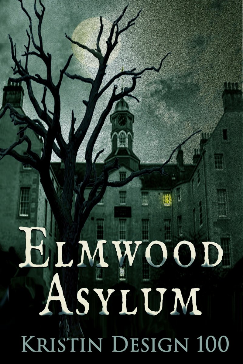 ELMWOOD ASYLUM