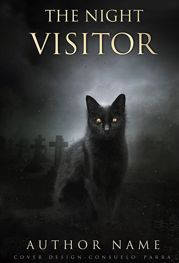 The night visitor
