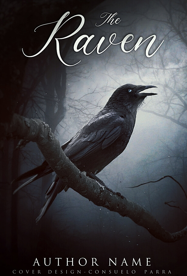 The raven II