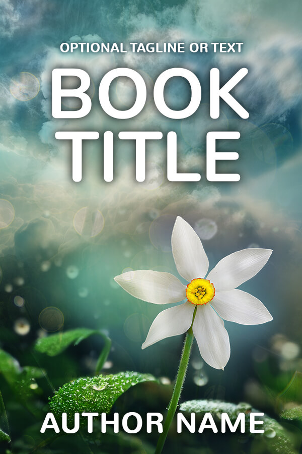 Book Cover 388