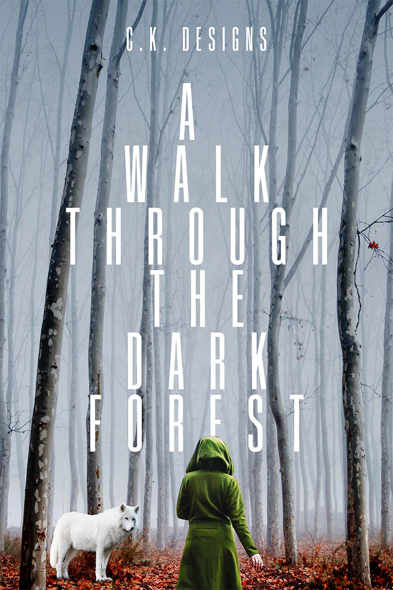 A Walk Through the Dark Forest
