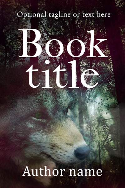 Book Cover 213