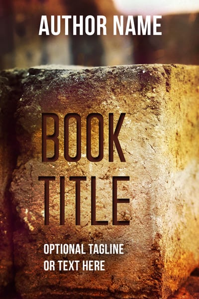 Book Cover 221