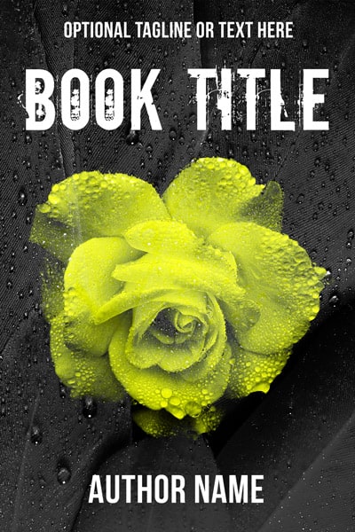Book Cover 231