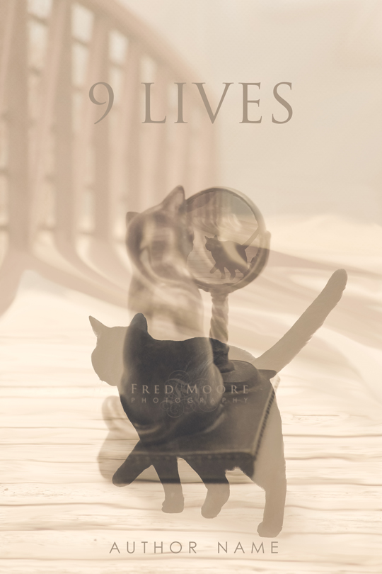9 LIVES