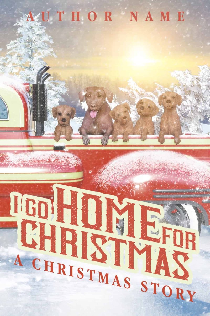 I Go Home for Christmas