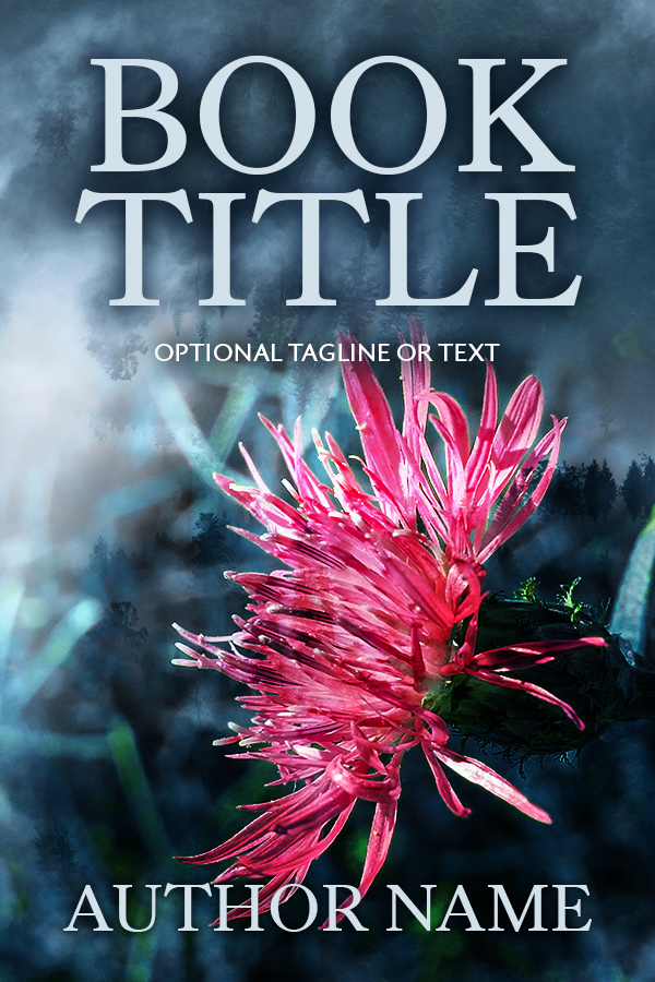 Book Cover 373