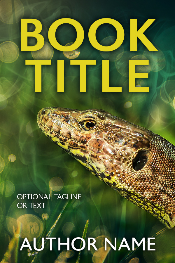Book Cover 370
