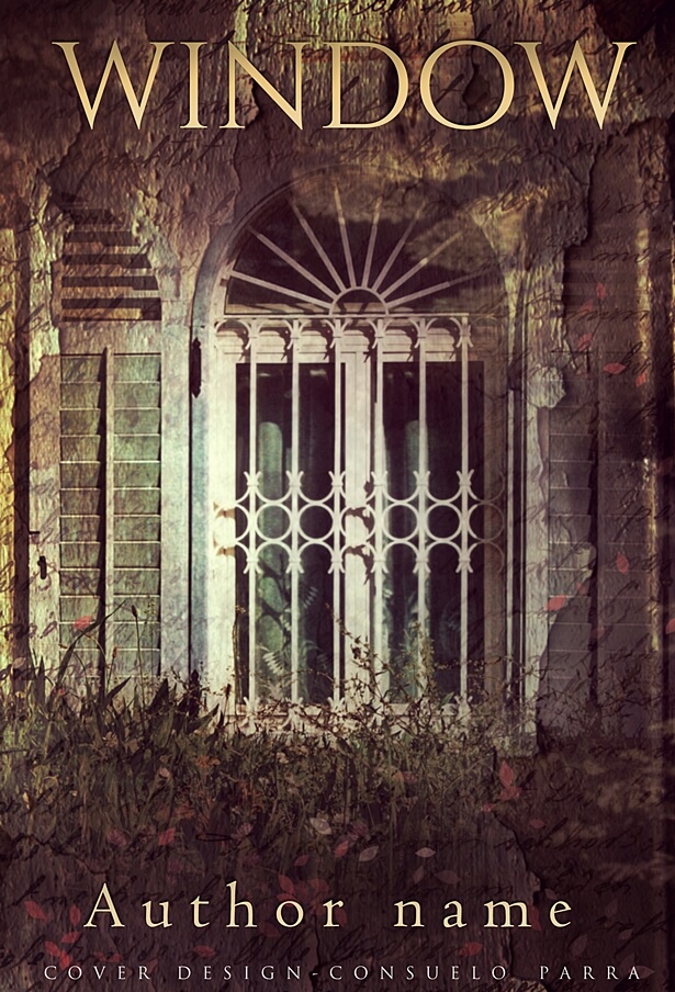 Window