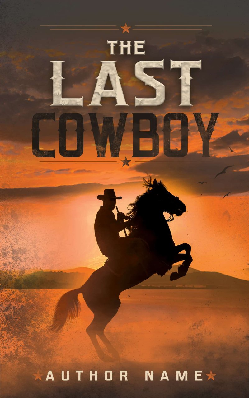 The Last Cowboy