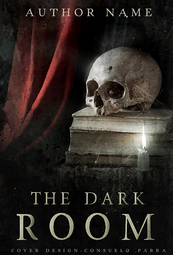 The dark room (Ebook and paperback)